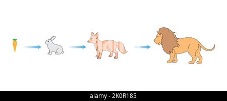 Scientific Designing of Food Chain The Most Importante Relationship in Biology Diagrams