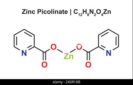 Zinc Picolinate (C12H8N2O4Zn) Chemical Structure. Vector Illustration. Stock Vector