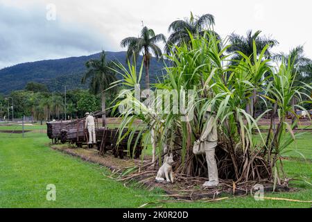 Tully Sugar Pioneer Memorial, beside the Tully Sugar Mill, Tully, North Queensland Australia. Stock Photo