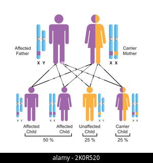 Scientific Designing of Autosomal Recessive Inheritance. Colorful ...