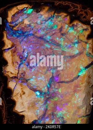 Australian Opal gemstones, shot on a black background to highlight the gorgeous colour and pattern of this natural stone. Project with Damien Hirst. Stock Photo