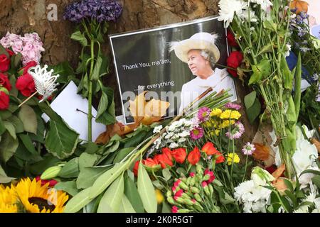 London, UK. 13th Sep, 2022. Thousands of people have left floral tributes, cards and messages for Her Majesty Queen Elizabeth II, who died on September 8th, aged 96. Credit: Uwe Deffner/Alamy Live News Stock Photo