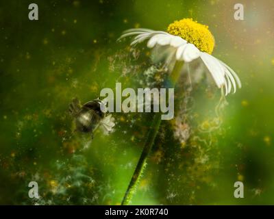 Fantasy image of a handmade silver bee in a macro world of flowers. Stock Photo