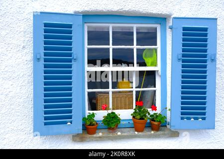 Blue Shutters and pots of flowers on window sill St.Mawes Stock Photo