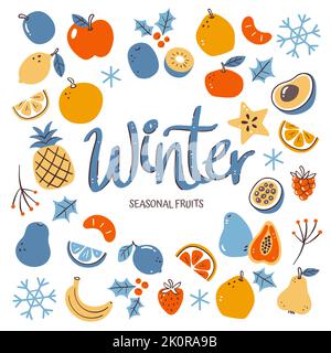 Seasonal fruits background. Winter fruit composition made of colorful hand-drawn vector icons, isolated on white background. Stock Vector