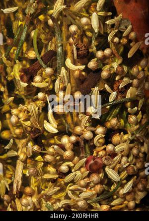 Studio set up in a kitchen to shot a glass bottle of Olive oil with added herbs and spices. Stock Photo