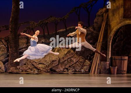 London Coliseum, London, UK. 13th September 2022.  The newly formed United Ukrainian Ballet, company of refugee dancers, performs Giselle at London Coliseum.  Led by renowned choreographer Alexei Ratmansky. Supported by English National Opera and Birmingham Royal Ballet, who provided the costumes, set and orchestra, and guest performers, including Christine Shevchenko and Oleksii Tiutiunnyk. Amanda Rose/Alamy Live News Stock Photo