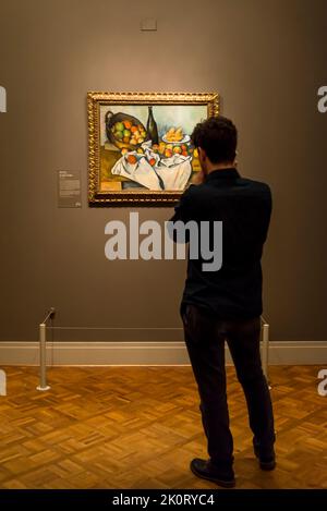 Visitor looking at Paul Cezanne painting The Basket of Apples, The Art Institute of Chicago, Chicago, Illinois, USA Stock Photo