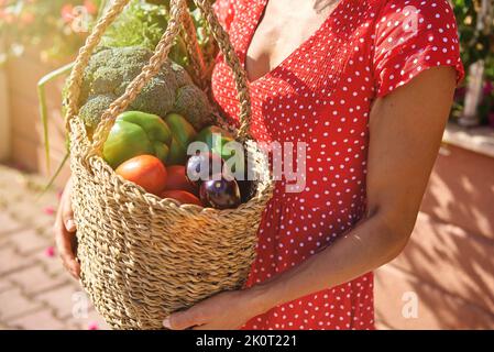 Healthy food nutrition concept and agriculture store owner concept with woman holding a bucket full of fresh vegetables - diet and weight loss health Stock Photo