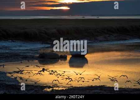 Fishing boat at low tide with beautiful  sunset Stock Photo