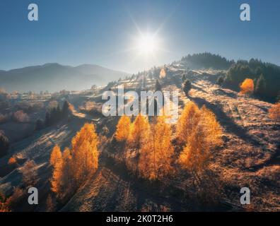 Aerial view of beautiful orange trees on the hill in mountains Stock Photo