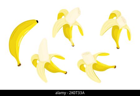 Ripe peeled banana with bitten off part of fruit. Harvesting tropical fruits. Healthy fruits set in cartoon style isolated on white background Stock Vector