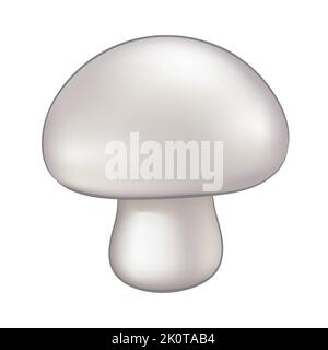 Illustration of an Edible Mushroom isolated on a White Background Stock Vector