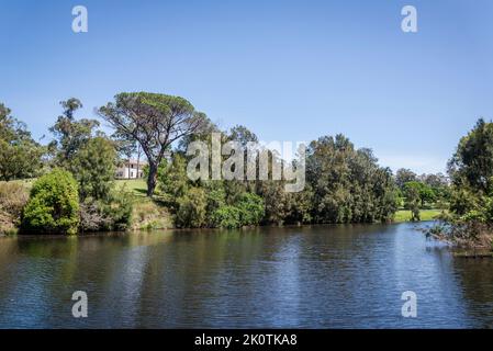 Parramatta river in the Parramatta Park and the Old Government House in distance, western suburb of Parramatta, Sydney, Australia Stock Photo