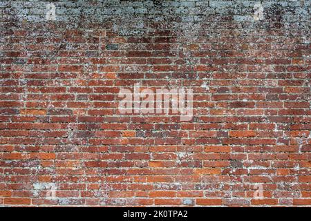 Old red brick wall, texture. Stock Photo