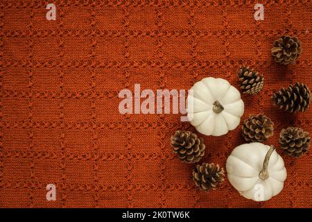 Cones and white miniature Baby Boo Pumpkins on warm, cosy knitted handmade blanket. Beautiful autumn or fall flat lay composition, with copy space. Stock Photo