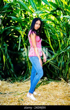 Fall Celebration Portrait of a Young Asian Woman in a Corn Maze Stock Photo