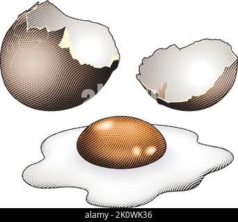 Illustration of Scratchboard Engraved Broken Egg with Colorful Fill Stock Vector