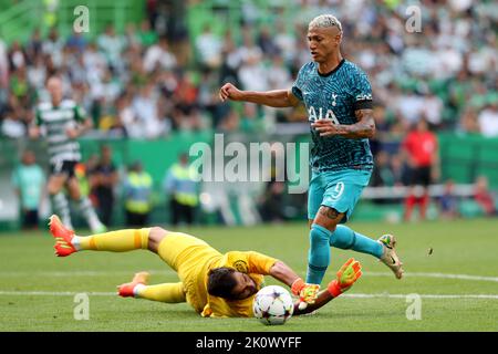 Lisbon, Portugal. 13th Sep, 2022. Richarlison (R) of Tottenham vies with Sporting CP's goalkeeper Antonio Adan during their UEFA Champions League group D match in Lisbon, Portugal, on Sept. 13, 2022. Credit: Pedro Fiuza/Xinhua/Alamy Live News Stock Photo