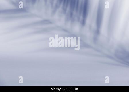 Tropical palm leaf shadow on blue background. Tropic plant overlay on summer nature design. Product display. Natural silhouette on wall. Flat lay. Stock Photo