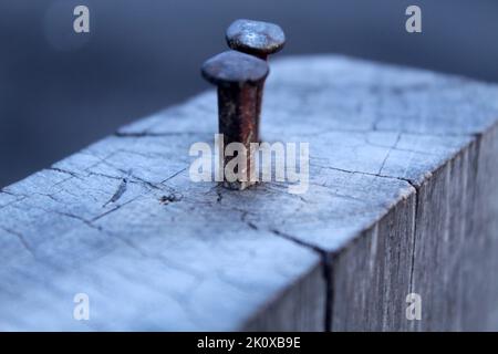 Nails on wood. Two nails nailed to the wood timber. Stock Photo
