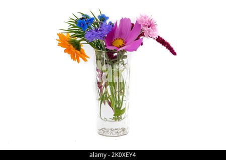 bouquet of autumn flowers with vase isolated on white background Stock Photo