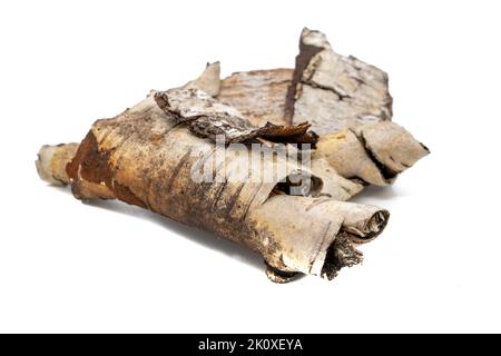 Birch bark isolated on white background Stock Photo
