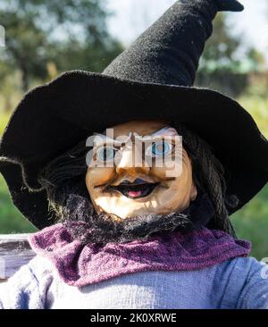 Halloween witch in autumn. concept for  dress halloween festival or carnival.  Doll costume. Stock Photo