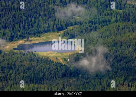 Staz Lake in secluded pine woodland of St Moritz from Muottas Muragl, Engadine Stock Photo