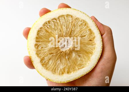 white grapefruit on a white background Stock Photo