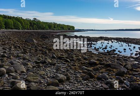 Low tide on the coast of Maine on Penobscot Bay in the early morning light. Stock Photo