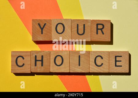 Explore Your Options, words in wooden alphabet letters isolated on ...