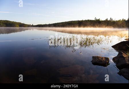 Calm morning at Swan Lake in Maine with fog on the surface at sunrise on a late spring day. Stock Photo