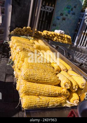 sweet corn ready for boile and grille for sale on the street Stock Photo