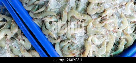 Frozen shrimp or prawn in plastic package isolated on a white background  Stock Photo - Alamy