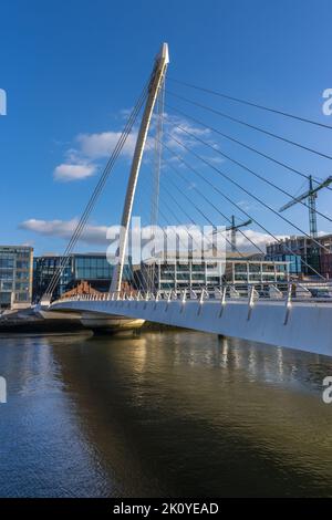 A vertical shot of cables of a modern bridge Stock Photo - Alamy