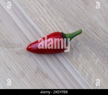 A Single Red Hungarian Hot Pepper on a Wood Bakground Stock Photo