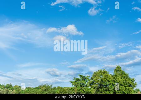 Green trees against the blue sky and white clouds float in the sky on a clear day Stock Photo