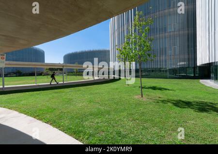 italy, Lombardy, Milan, SDA Bocconi Campus Designed by Kazuyo Sejima and Ryue Nishizawa of SANAA Studio Stock Photo