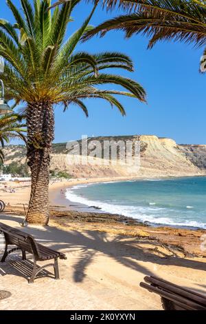 Benchs on a coastal promenade at Luz beach, Lagos, Portugal. Palm trees and clear blue sky. Stock Photo