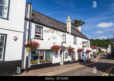 The Three Tuns Inn, on Castle Terrace, Chepstow, Monmouthshire, Wales, UK Stock Photo
