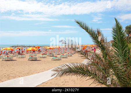 umbrellas and deck chairs without people on the beach near the sea in summer Stock Photo