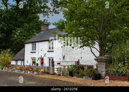 Roadside cottage south of Builth Wells, Powys, Wales, UK Stock Photo
