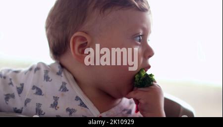 Toddler baby sitting on highchair eating broccoli Stock Photo