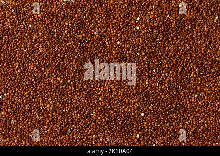 Raw Organic Red Quinoa Seed in a Bowl Stock Photo