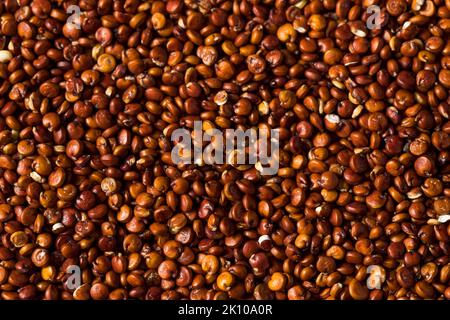 Raw Organic Red Quinoa Seed in a Bowl Stock Photo