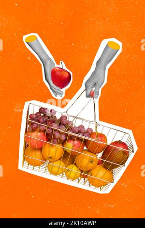 Exclusive minimal magazine sketch collage of hands hold shopping basket buy groceries apples mangos oranges lemons grapes healthy nutrition Stock Photo