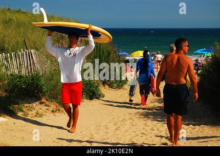 A lifeguard, working a summer job, carries a surfboard from the lifeguard stand through a path in the dunes at Ditch Plains Beach in Montauk, Stock Photo