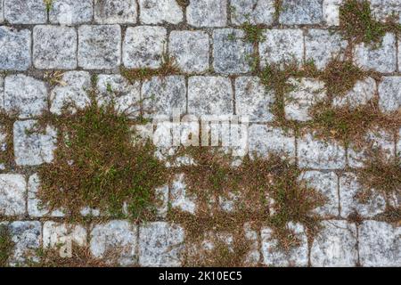 Fragment of a sidewalk paved with granite stone, overgrown with moss, for use as an abstract background and texture. Stock Photo