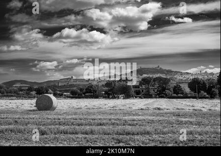 Assisi, a journey through history and religion. Black and white Stock Photo